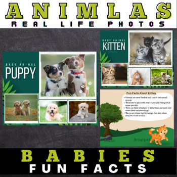 Preview of Animal Babies : Facts with Real Life Photos - Google Slides™ Included