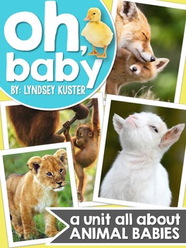 Preview of Animal Babies - Nonfiction Activities