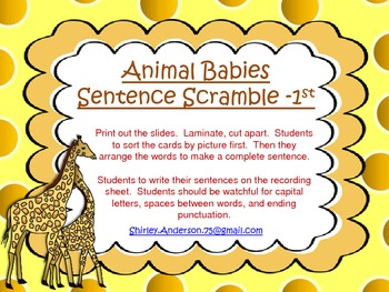 Animal Babies- Sentence Scramble for 1st grade (Nonfiction & Vocabulary)