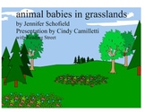 Animal Babies Smartboard Presentation