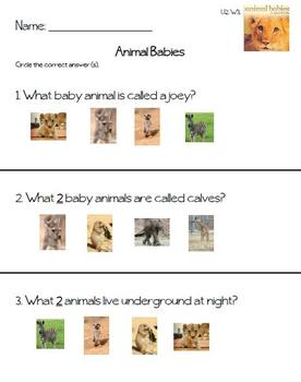Kindergarten Baby Animals Unit Teaching Resources | TPT