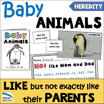 Preview of Baby Animals or Young Offspring are Like but not Exactly Like their Parents