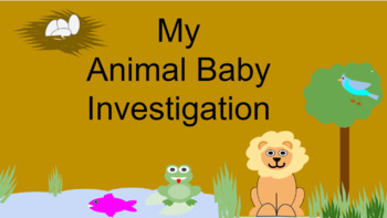 Preview of Animal Baby Investigation