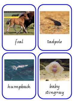 Preview of Animal Baby Matching Cards