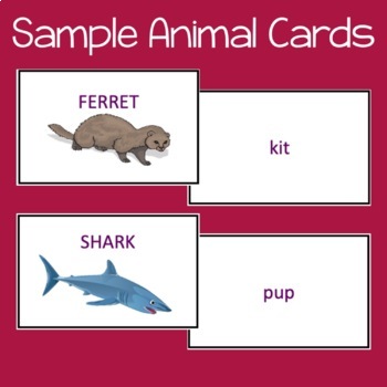 Vocabulary Matching Activity - Animal Baby Names by Science Island