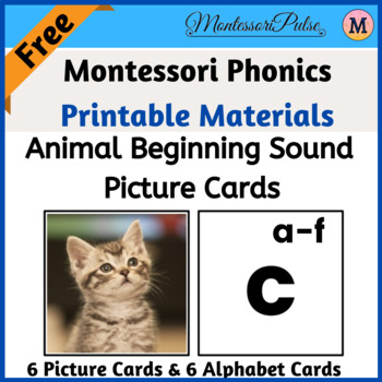 Preview of Animal Beginning Sound - Picture Cards and Sound Cards
