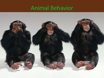 Preview of Animal Behavior/ A Brief Introduction