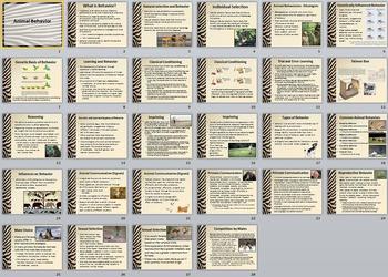 Preview of Animal Behavior Unit Bundle - 7 files
