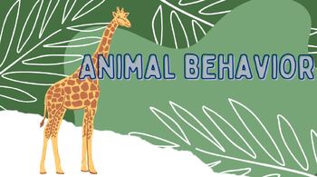 Preview of Animal Behaviors