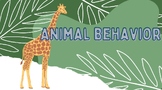 Animal Behaviors