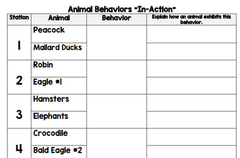 Preview of Animal Behaviors: "In Action"