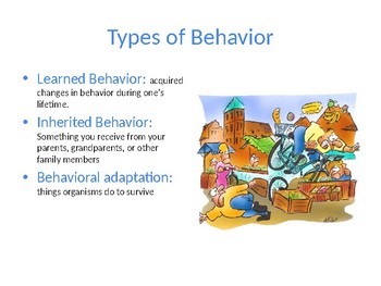 Animal Behaviors and Adaptations PowerPoint by Molly Harbottle | TPT