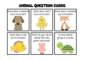 Animal Bingo [Animal Groups, Habitat, Diet] by Apple Strudel | TPT