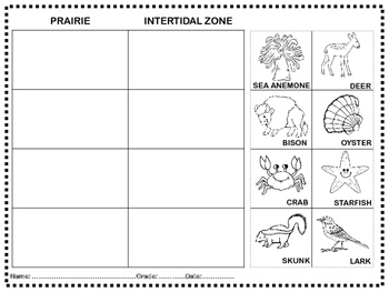 animal biomes habitats cut and paste worksheets by swati sharma tpt