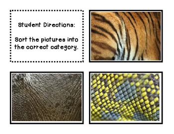 Animal Body Covering Matching Station by Teach N' Tex | TpT