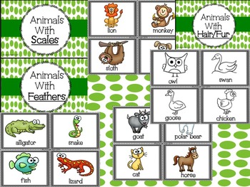 Animal Body Coverings: A Science Unit by KaytieCasKinder | TpT