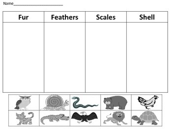 Animal Body Coverings Science Center Activity Classifying, Writing