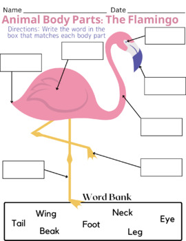 Preview of Animal Body Part Activity: The Flamingo