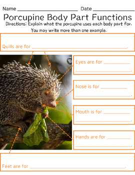 Preview of Animal Body Part Function (Porcupine)