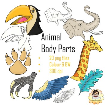 Animal Body Parts Teaching Resources | TPT