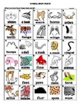 Preview of Animal Body Parts Pictionary - ANIMAL DESCRIPTION