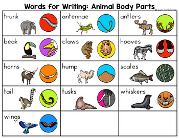Preview of Animal Body Parts Word List - Writing Center