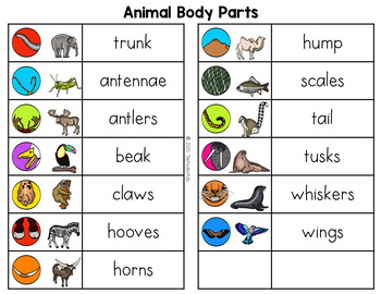 Animal Body Parts Word List - Writing Center by The Kinder Kids | TPT