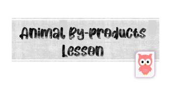 Preview of Animal By-Product Complete Lesson