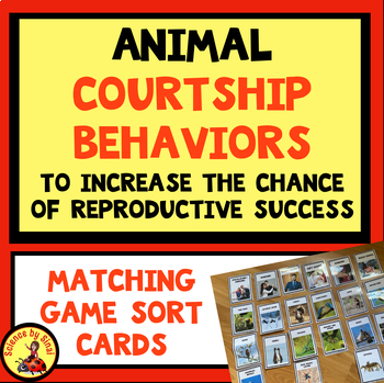 Preview of Animal COURTSHIP BEHAVIOR Matching Sort Cards Multiple Uses Valentine’s Day