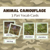 Animal Camouflage 3 Part Cards | Vocab Cards | Beginner La