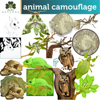 Animal Camouflage Clip Art by Studio Devanna | TPT