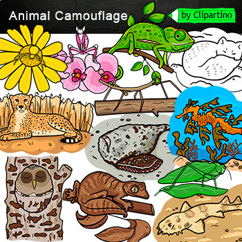 Preview of Animal Camouflage Clipart Commercial use/ Animal Adaptations Clip Art