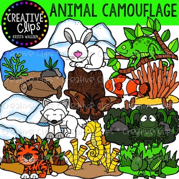 Animal Camouflage Clipart {Creative Clips Clipart} | TPT