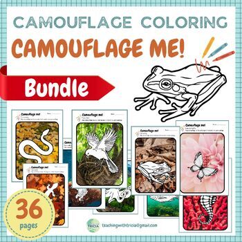 Preview of Animal Camouflage Coloring BUNDLE - 36 coloring pages, 9 animals