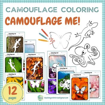 Preview of Animal Camouflage Coloring - Camouflage me! Butterfly, Lizard, Octopus