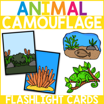 Animal Camouflage Flashlight Cards by From ABCs to ACTs | TPT