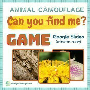 Preview of Animal Camouflage Game- Can you find the hidden animal? Google Slides