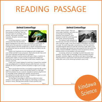 Animal Camouflage Reading Comprehension Passage and Questions - PDF