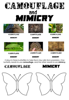 Camouflage and Mimicry Worksheet • Science Review Activity by Tara Gray
