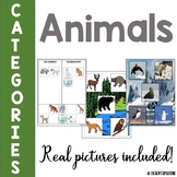 Animal Categories