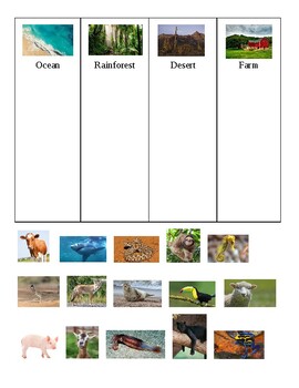 Preview of Animal Categories - Rainforest, Ocean, Farm, & Desert!