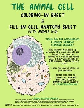 Animal Cell Biology- coloring sheet and anatomy worksheet by SCIENCE  GRAPHICS