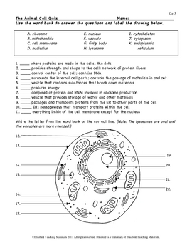 Animal Cell Color Page, Worksheet, and Quiz Ce-3 by Bluebird Teaching  Materials