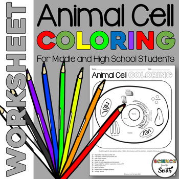 Animal Cell Coloring Answer Key Worksheets Teaching Resources Tpt