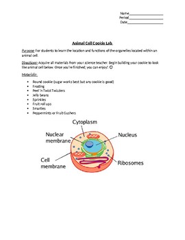 Animal Cell Cookie Lab by The Robizzle Way | Teachers Pay ...