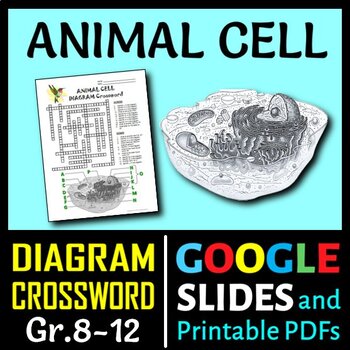 Preview of Animal Cell Crossword with Diagram | Printable & Distance Learning Options