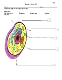 Cell Diagram Worksheets & Teaching Resources | Teachers Pay Teachers