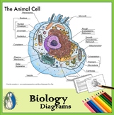 Animal Cell Diagrams for Coloring and Labeling, with Refer