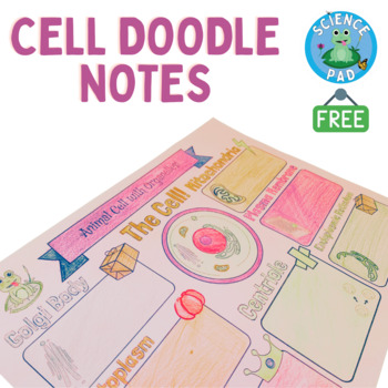 Preview of Animal Cell Doodle Notes Worksheet | Free Science Activity | freebee Digital