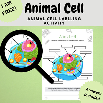 Preview of free biology animal cell eukaryote labelling worksheet activity